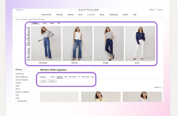 ANN TAYLOR