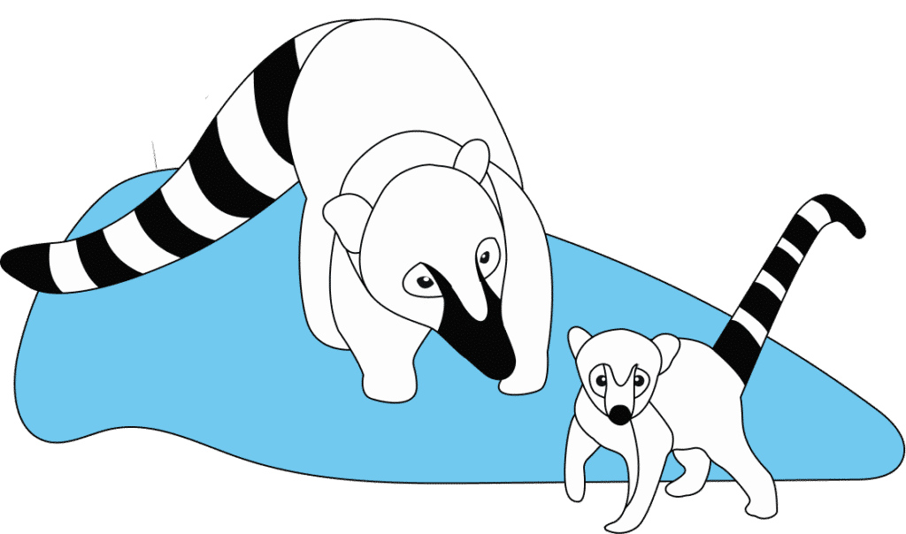 google coati
