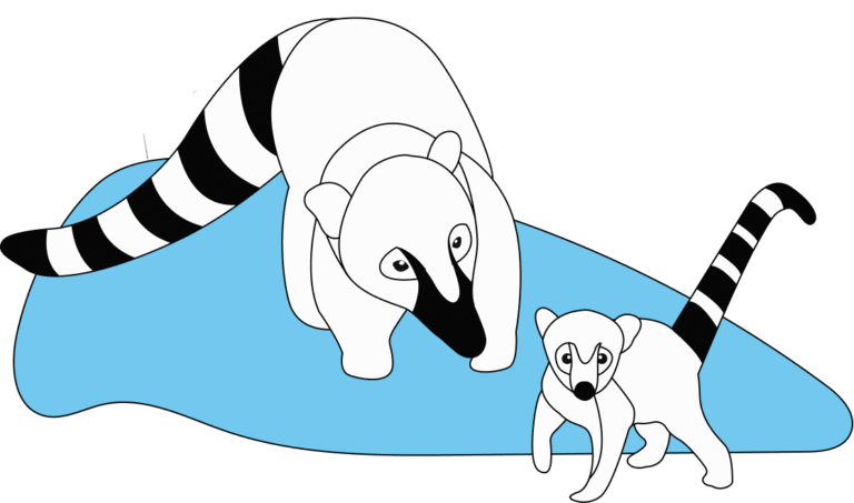 google coati
